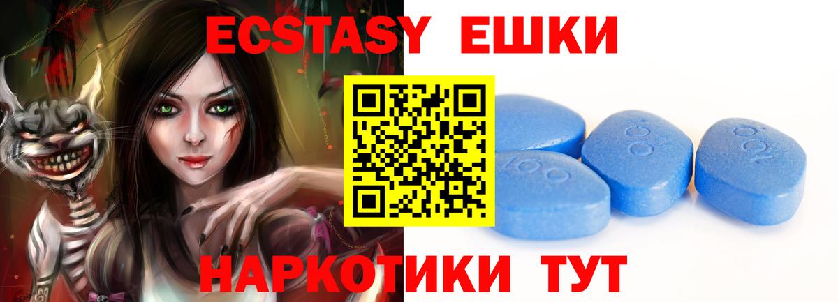 Ecstasy Philipp Plein Грозный