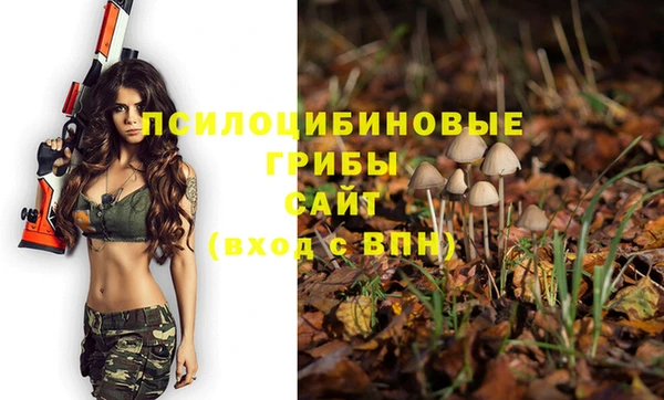 скорость Абинск