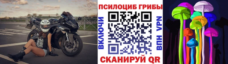 Галлюциногенные грибы мухоморы где купить наркотик Грозный