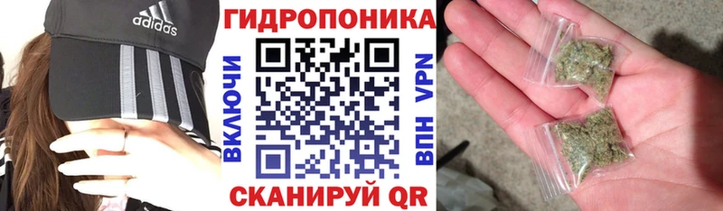 закладки Грозный МАРИХУАНА тримм